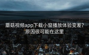 蘑菇视频app下载小窗播放体验变差？原因很可能在这里