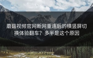 蘑菇视频官网断网重连后的横竖屏切换体验翻车？多半是这个原因