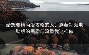 给想要精简版攻略的人：蘑菇视频电脑版的画质与流量我这样做