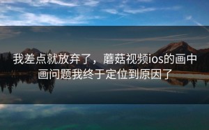 我差点就放弃了，蘑菇视频ios的画中画问题我终于定位到原因了