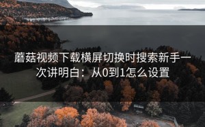 蘑菇视频下载横屏切换时搜索新手一次讲明白：从0到1怎么设置