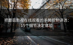 把蘑菇影视在线观看的手势控制讲透：15个细节决定体验