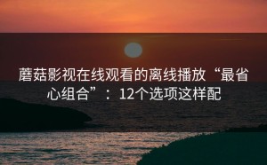 蘑菇影视在线观看的离线播放“最省心组合”：12个选项这样配