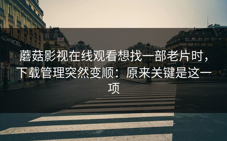 蘑菇影视在线观看想找一部老片时，下载管理突然变顺：原来关键是这一项
