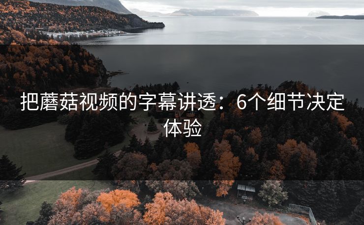把蘑菇视频的字幕讲透：6个细节决定体验