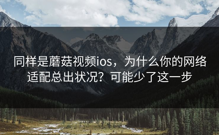 同样是蘑菇视频ios，为什么你的网络适配总出状况？可能少了这一步