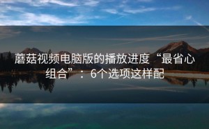 蘑菇视频电脑版的播放进度“最省心组合”：6个选项这样配