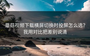 蘑菇视频下载横屏切换时投屏怎么选？我用对比把差别说清