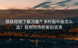 蘑菇视频下载流量不多时画中画怎么选？我用同场把差别说清