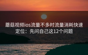 蘑菇视频ios流量不多时流量消耗快速定位：先问自己这12个问题