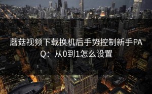 蘑菇视频下载换机后手势控制新手FAQ：从0到1怎么设置