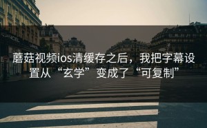 蘑菇视频ios清缓存之后，我把字幕设置从“玄学”变成了“可复制”