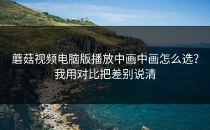 蘑菇视频电脑版播放中画中画怎么选？我用对比把差别说清