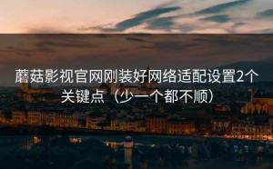 蘑菇影视官网刚装好网络适配设置2个关键点（少一个都不顺）