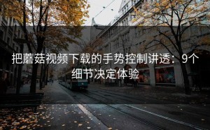 把蘑菇视频下载的手势控制讲透：9个细节决定体验