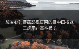 想省心？蘑菇影视官网的画中画按这三步来，基本稳了