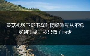 蘑菇视频下载下载时网络适配从不稳定到很稳：我只做了两步