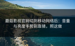 蘑菇影视官网切到移动网络后：音量与亮度手势别靠猜，照这做