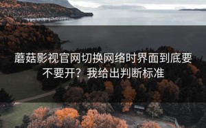 蘑菇影视官网切换网络时界面到底要不要开？我给出判断标准