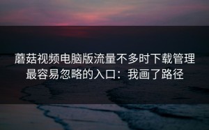 蘑菇视频电脑版流量不多时下载管理最容易忽略的入口：我画了路径