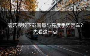 蘑菇视频下载音量与亮度手势翻车？先看这一点