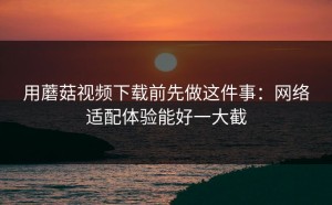 用蘑菇视频下载前先做这件事：网络适配体验能好一大截