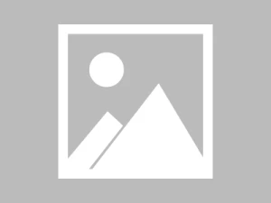 蘑菇视频官网在家里，我把加载速度从“玄学”变成了“可复制”