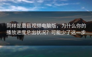 同样是蘑菇视频电脑版，为什么你的播放进度总出状况？可能少了这一步