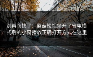 别再瞎找了：蘑菇短视频开了省电模式后的小窗播放正确打开方式在这里