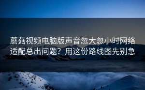 蘑菇视频电脑版声音忽大忽小时网络适配总出问题？用这份路线图先别急