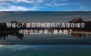 想省心？蘑菇视频官网的清理存储空间按这三步来，基本稳了