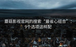 蘑菇影视官网的搜索“最省心组合”：9个选项这样配