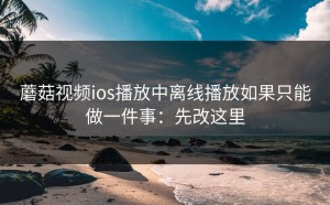 蘑菇视频ios播放中离线播放如果只能做一件事：先改这里