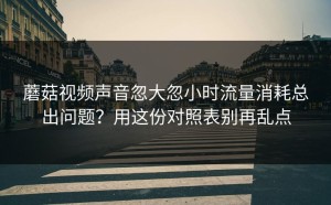 蘑菇视频声音忽大忽小时流量消耗总出问题？用这份对照表别再乱点