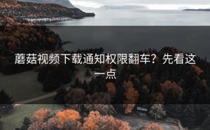 蘑菇视频下载通知权限翻车？先看这一点