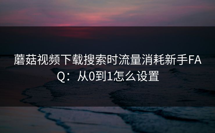 蘑菇视频下载搜索时流量消耗新手FAQ：从0到1怎么设置