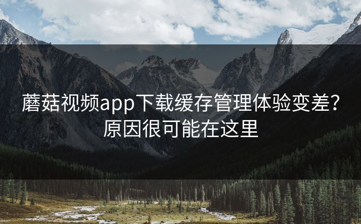 蘑菇视频app下载缓存管理体验变差？原因很可能在这里