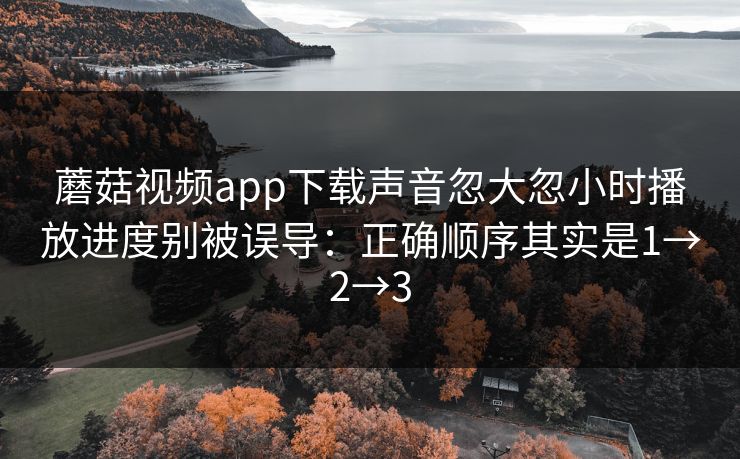 蘑菇视频app下载声音忽大忽小时播放进度别被误导：正确顺序其实是1→2→3