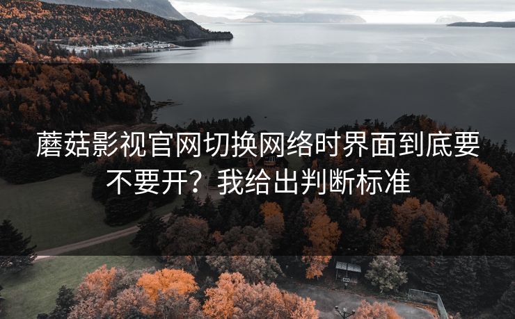 蘑菇影视官网切换网络时界面到底要不要开？我给出判断标准