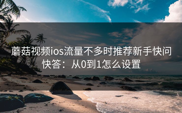 蘑菇视频ios流量不多时推荐新手快问快答：从0到1怎么设置