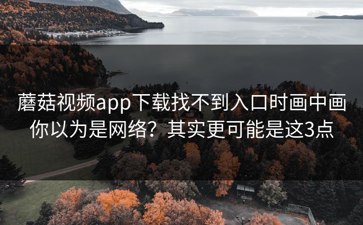 蘑菇视频app下载找不到入口时画中画你以为是网络？其实更可能是这3点